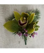GREEN CYMBIDIUM ORCHID