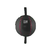 Cleto Reyes Spheric Speed Bag