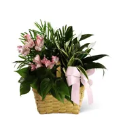 Living Spirit Planter