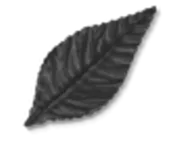 3 Inch Classic Black Corsage Leaves - 100 Per PAckage