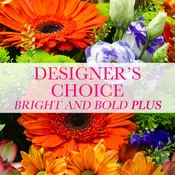 Designer's Choice - Bright and Bold Plus