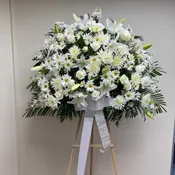 Sympathy 5