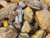 Yellow Jacket Jasper
