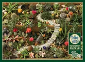1000 pc Succulent Garden