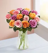 18 Sorbet Roses in Vase