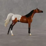 Alan OOAK Chip Arabian by Madi Wiseman LHS26
