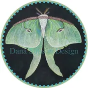 Car Art: luna moth