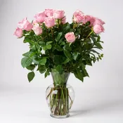 2 Dozen Pink Roses – Classic Glass Vase