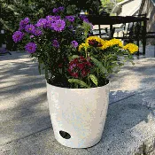10" Cream Round Self-Watering Bamboo Pot