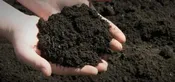 Top Soil (Screened) Half Yard