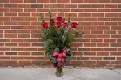 Classic Dozen Roses