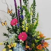 Deb's Bright and Bold Spring Garden