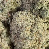 Mule Fuel | 3.5 Grams | Indica