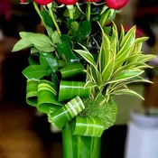 Long Stemmed Red Roses DF-9845