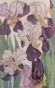 Garden Divas — Portage Hill Art Gallery
