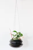 Hanging Planter