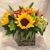 BRIGHTLY CHEERFUL!