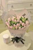 CALABASAS BLUSHING TULIP BOUQUET