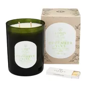 Linnea's Lights - Cucumber Vine Two Wick Candle