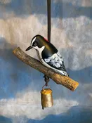 Downy Woodpecker