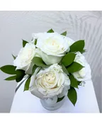 6 ROSE