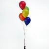 Balloon Bunch