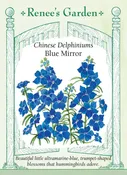 Chinese Delphiniums - Blue Mirror