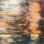 ASHES TO GOLD