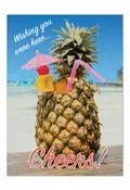 25-Pack Hawaii Generic Postcards Cheers! 5x7