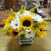Sunflowers In A Cube