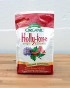 Holly-tone (4-3-4)