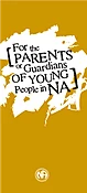 For the Parents or Guardians of Young People