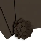 Crafty Necessities: Dark Chocolate Cardstock (10 sheets/set)