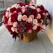 Luxury Blooms