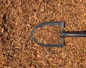 Playground Mulch