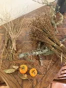 Dried Libertia bunch — Western Hills Garden