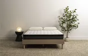 Mancini's Sleepworld Gold Euro-Top Mattress 9"