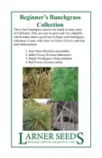Beginner's Bunchgrass Collection