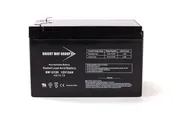 Bright Way Group BW 12120 F1 - 12V 12AH SLA Battery