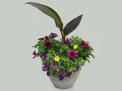10" Annual Mixed Planter