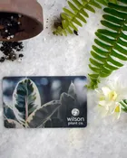 Gift Card (Physical) — Wilson Plant Co