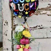 Good Luck Gerbera Daisies