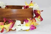 Mixed Tinted Orchid Lei Yellow
