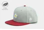 BC Edelweiss Primavera grau