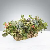 English Garden by BloomNation™