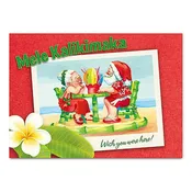 12-CT Box Xmas, Shave Ice Lovebirds 2