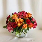 Orange Pop