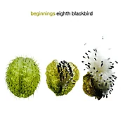 beginnings — Eighth Blackbird