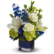 Teleflora's Serenade in Blue TFWEB606