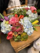 Ranunculus Rodeo — IXIA